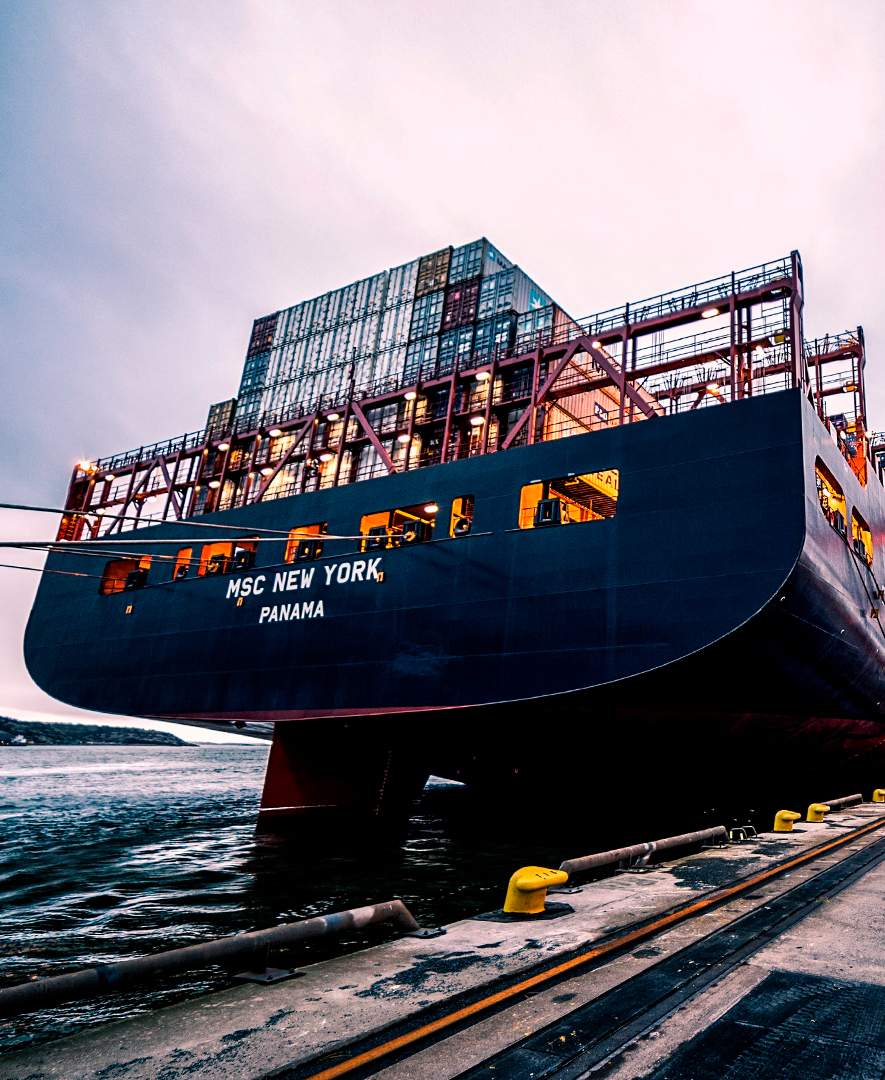 Servicio de Inspeccion